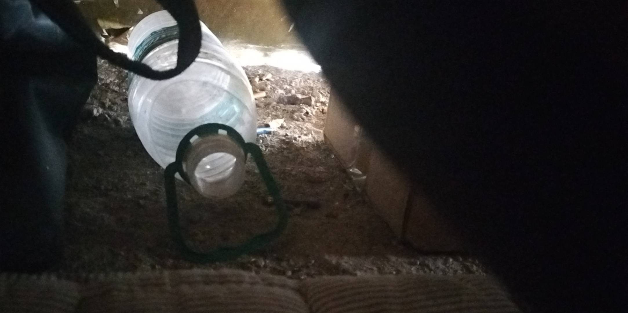 吃上了吗，老哥萌

90 / 作者:佳佳佳阿 / 