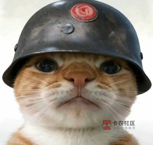 现在还有多少老哥是坚持三角洲的？你们每天跑多少万赚多少？那群单价60起步的一天30023 / 作者:理理理66 / 