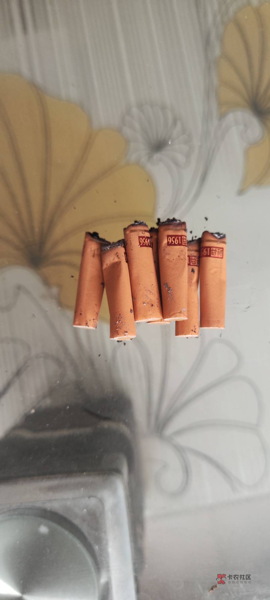 毛没申请到，一问中介，晚班16一小时的装卸工还招满了，天塌了又要饿肚子

82 / 作者:卡农第l帅 / 