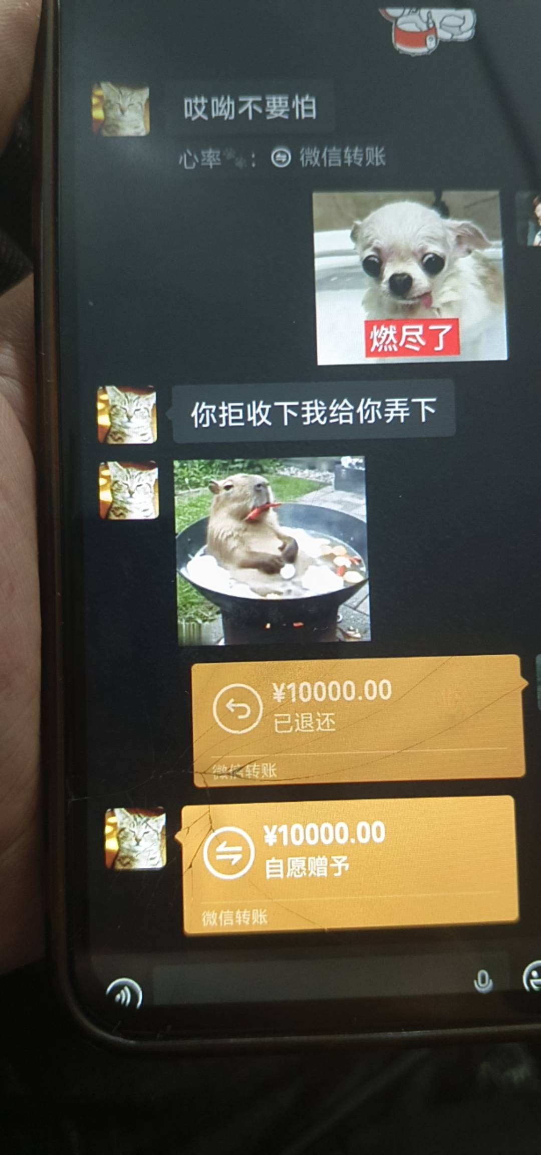 我小姨子认识的网友，说了句想要苹果手机，直接就转钱了，能不能收，我媳妇怕遇到杀猪29 / 作者:卡农韩二狗子 / 