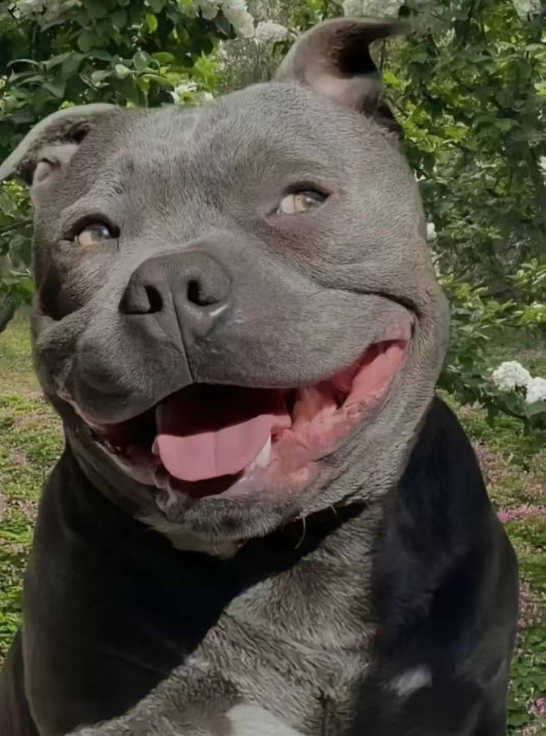 绝望了，开始送外卖了，没毛鲁，没收入。


70 / 作者:湖南陈小春 / 