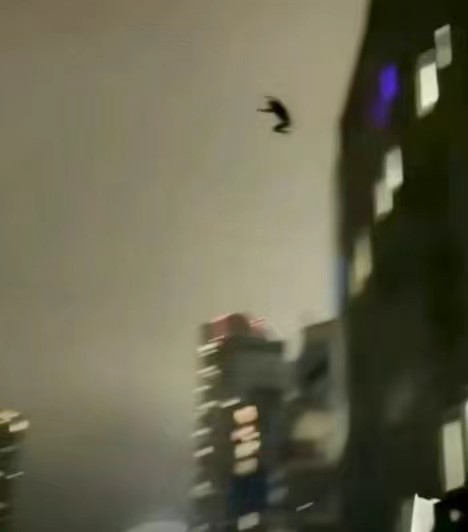 这里的老哥大多都没收到过女孩的礼物吧

93 / 作者:秋风知我意 / 