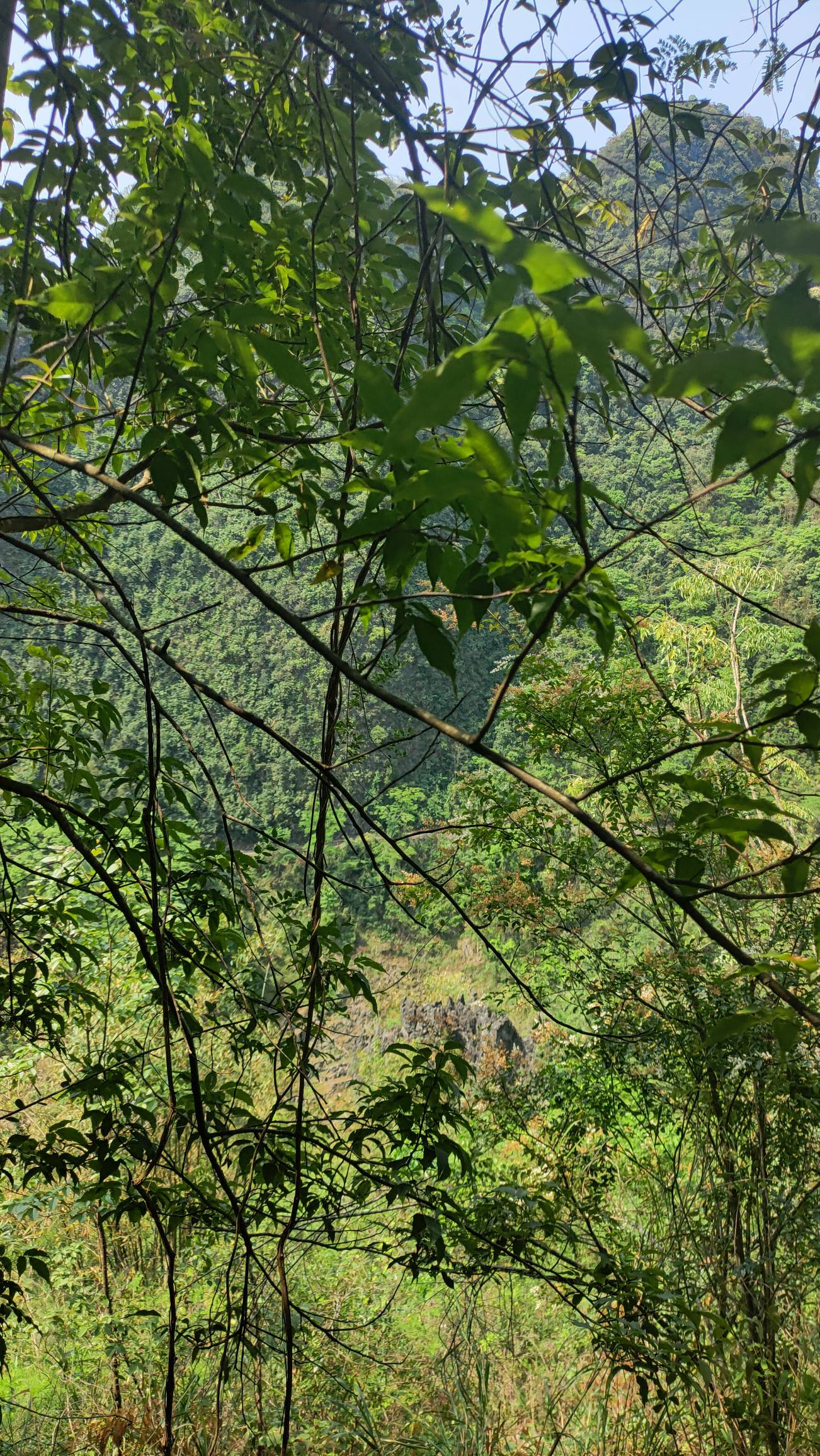 老哥们，哪些游戏可以弄个10毛，我太饿了，救救我

34 / 作者:一世风华11 / 