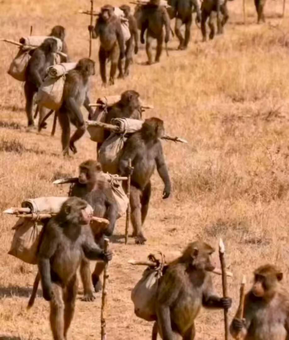 京东买了个手机。广东的发票参加不了广东发票哪里能抽奖

67 / 作者:卡农首富一哥 / 