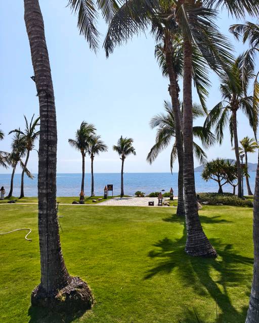 好怀念以前，现在想像个正常人一样生活都好难，明知道是绝路也无法回头，只能一条路走76 / 作者:年年悦意 / 