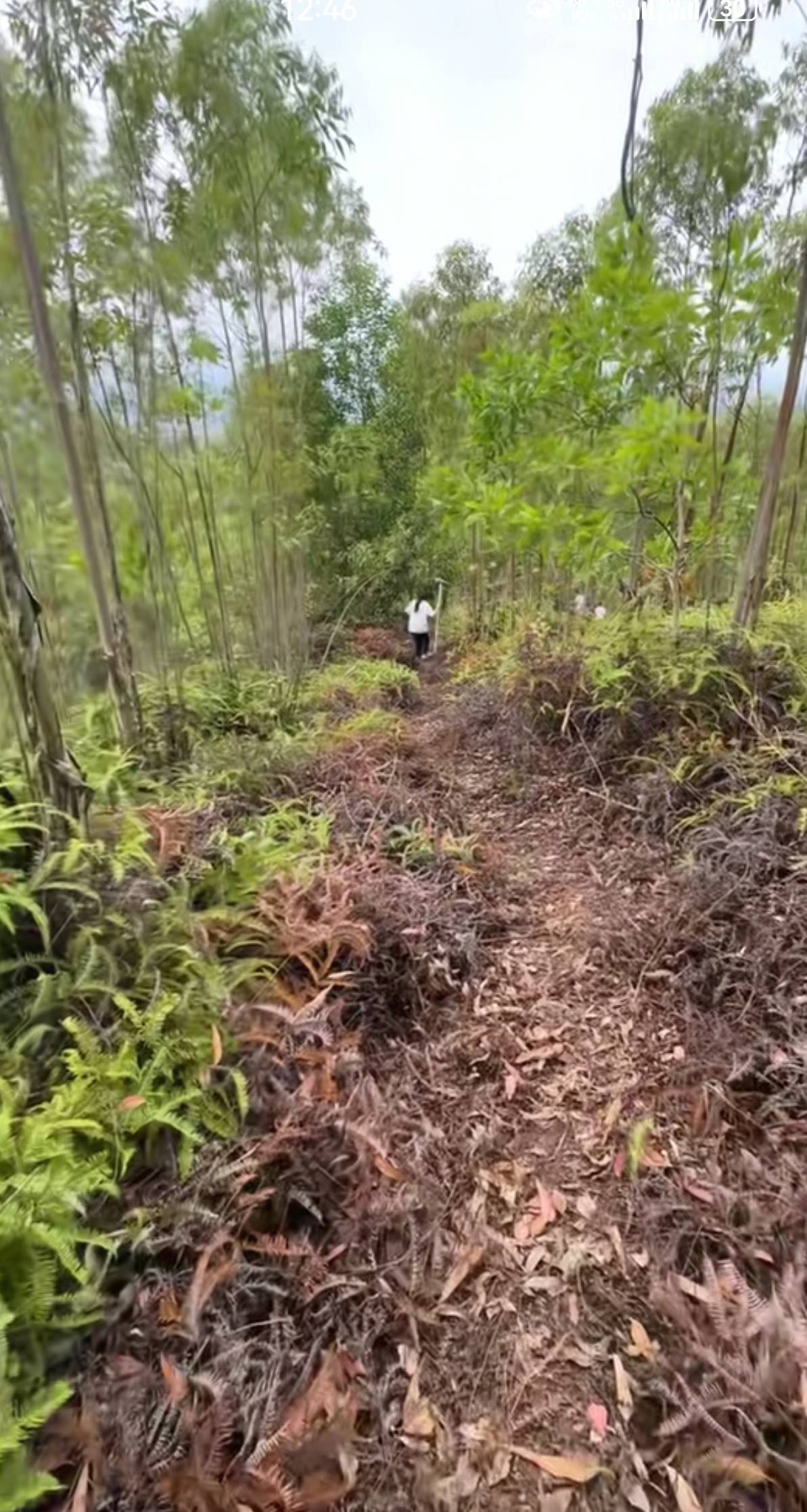 翻了3座山头才刚刚算开始，当场挂b了

75 / 作者:凤鸣 / 