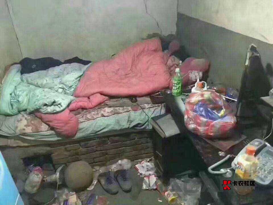 羊毛末日，抗不下去了，准备进厂了

84 / 作者:挂壁哥 / 