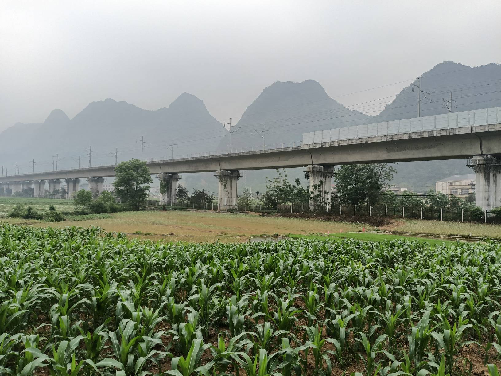 瓜皮了



6 / 作者:忙碌的藤壶 / 