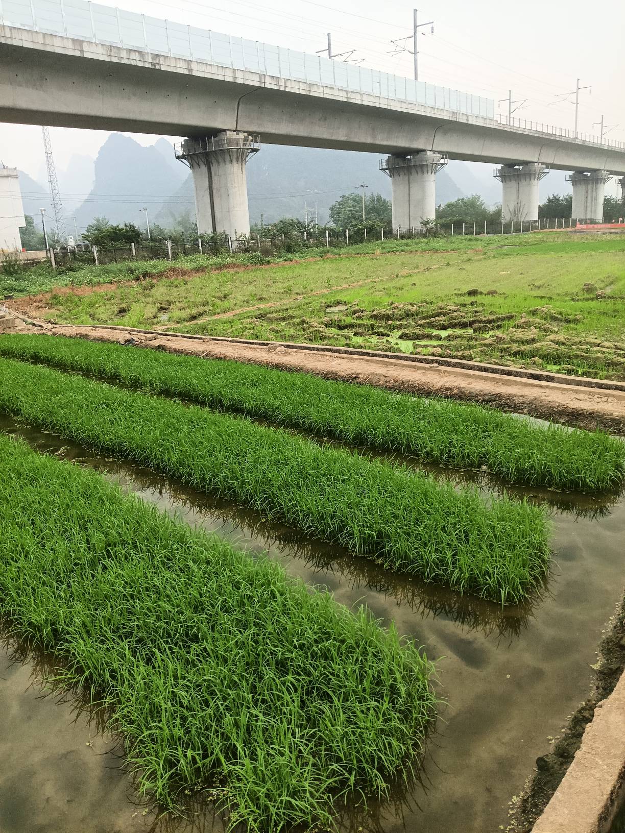 瓜皮了



49 / 作者:忙碌的藤壶 / 