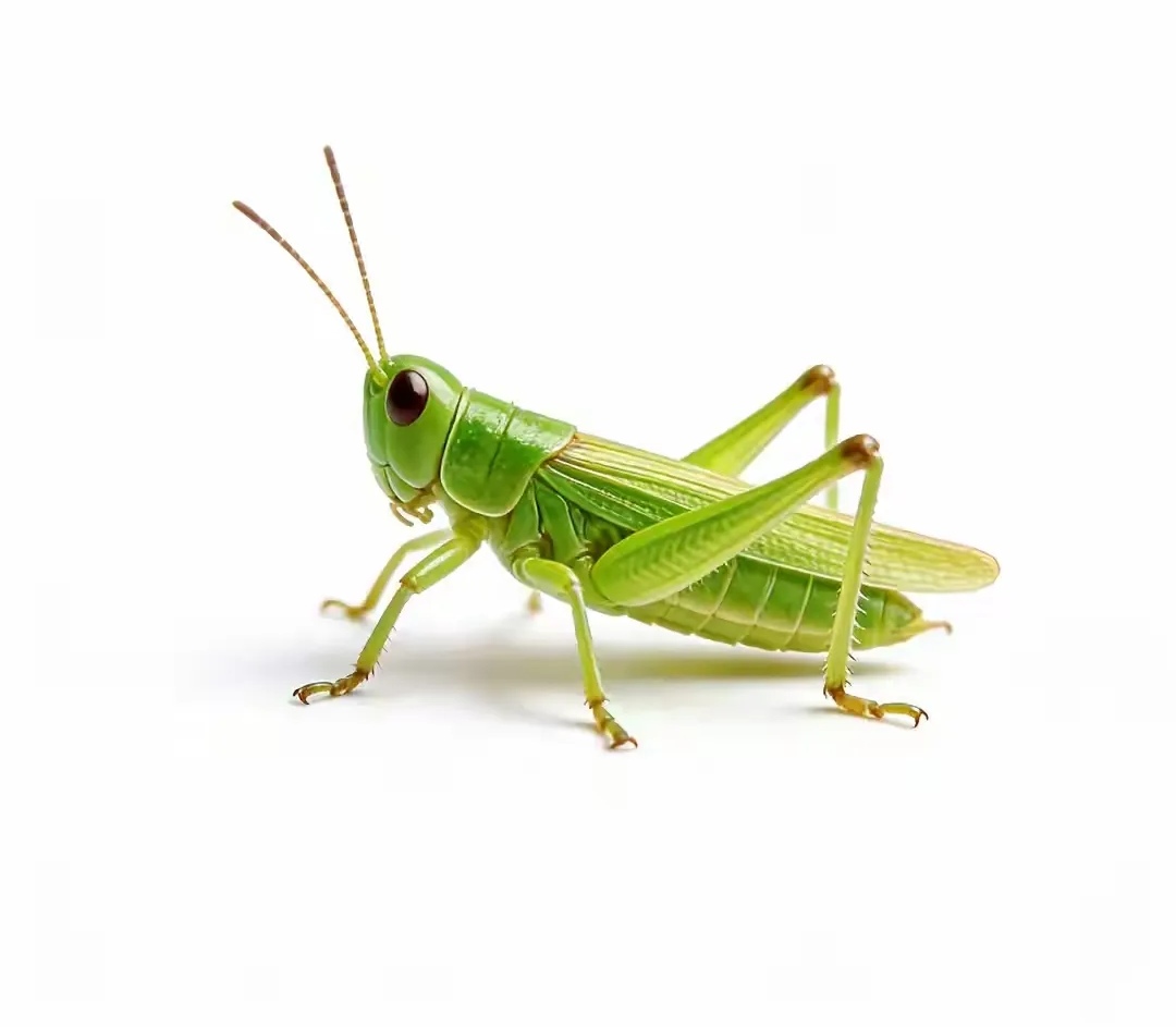 娇娇开户不能选开户行了，开出来全部本地的

2 / 作者:果然一道 / 