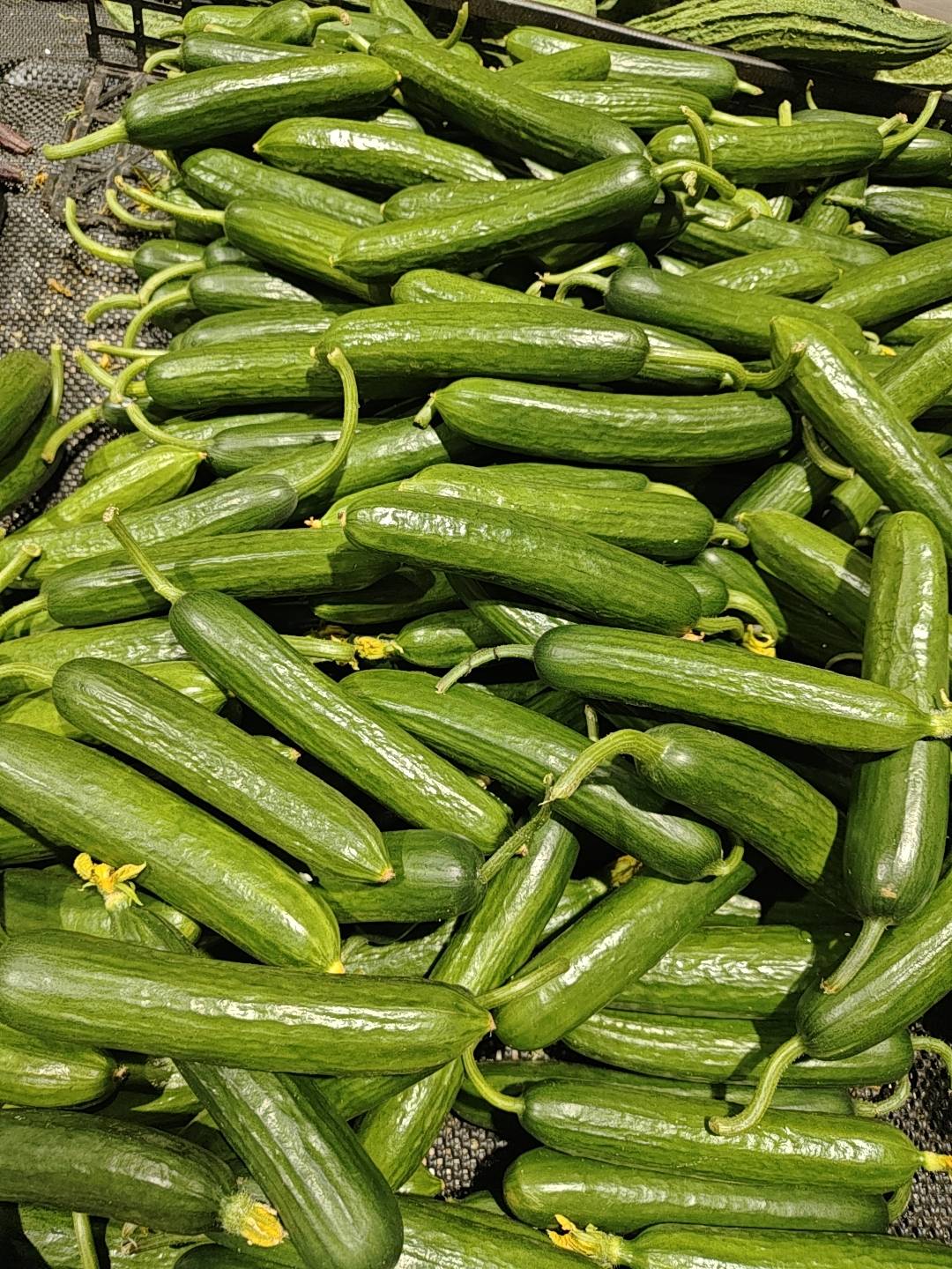 羊毛末日来了

21 / 作者:元小号 / 