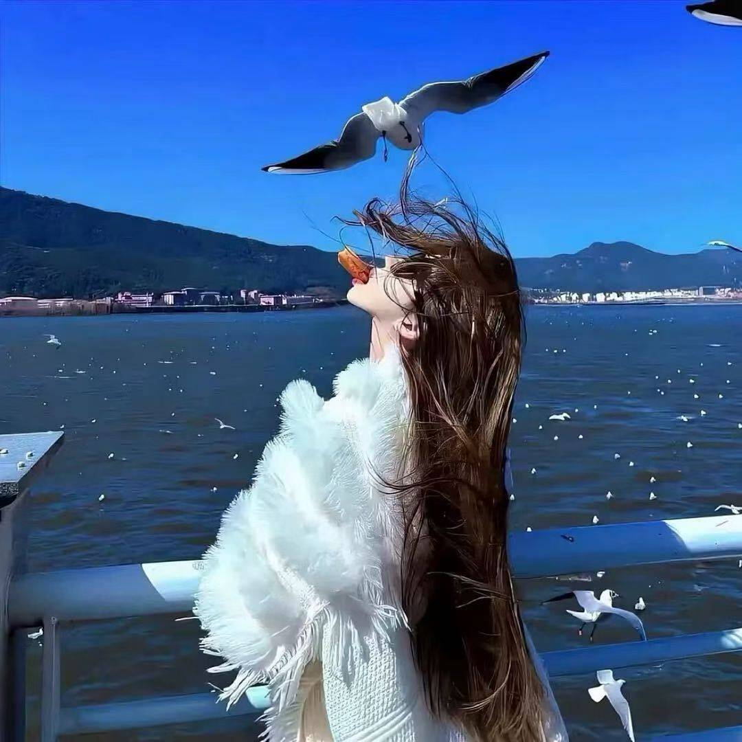 老哥们谁有条子啊，快顶不住了需要3000可以坚持每天打卡，刚刚有个条子财务说，查询不66 / 作者:安然a / 