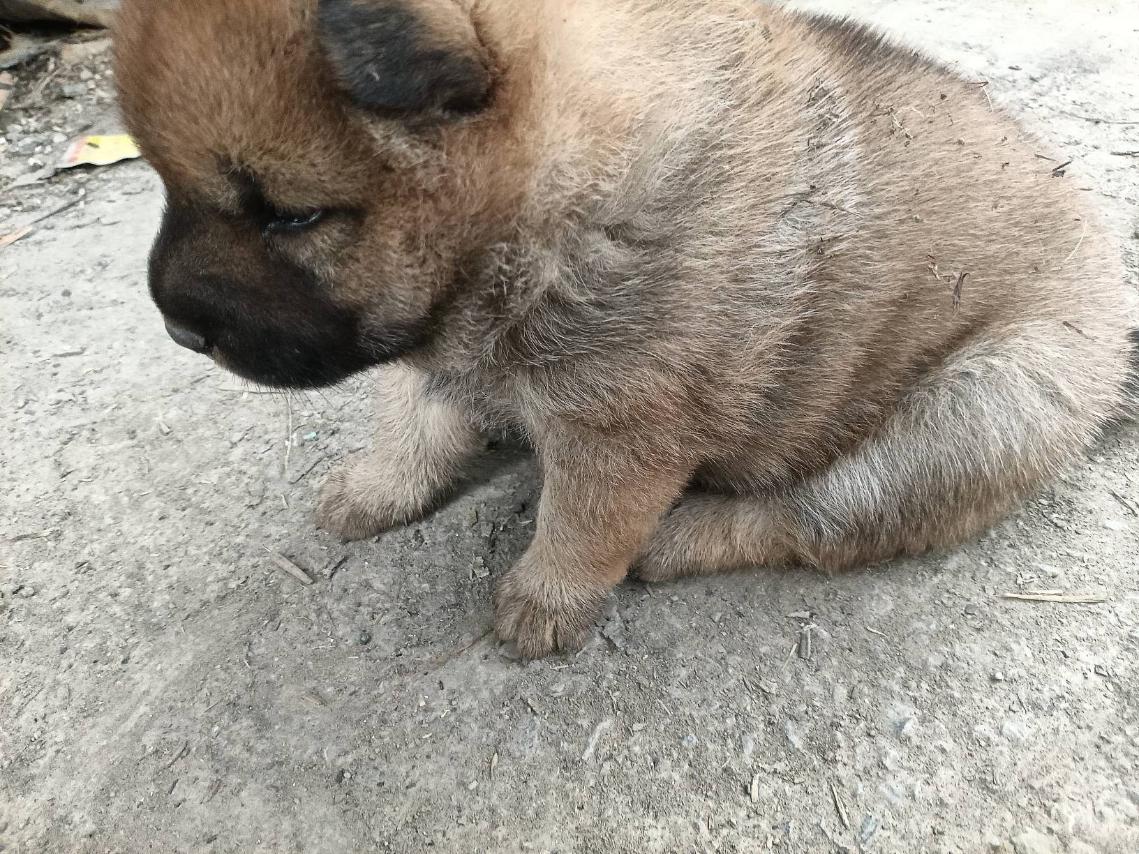 瓜皮了，回到大山第2天，热得哇哇叫，下半年去考C1驾驶证



64 / 作者:忙碌的藤壶 / 