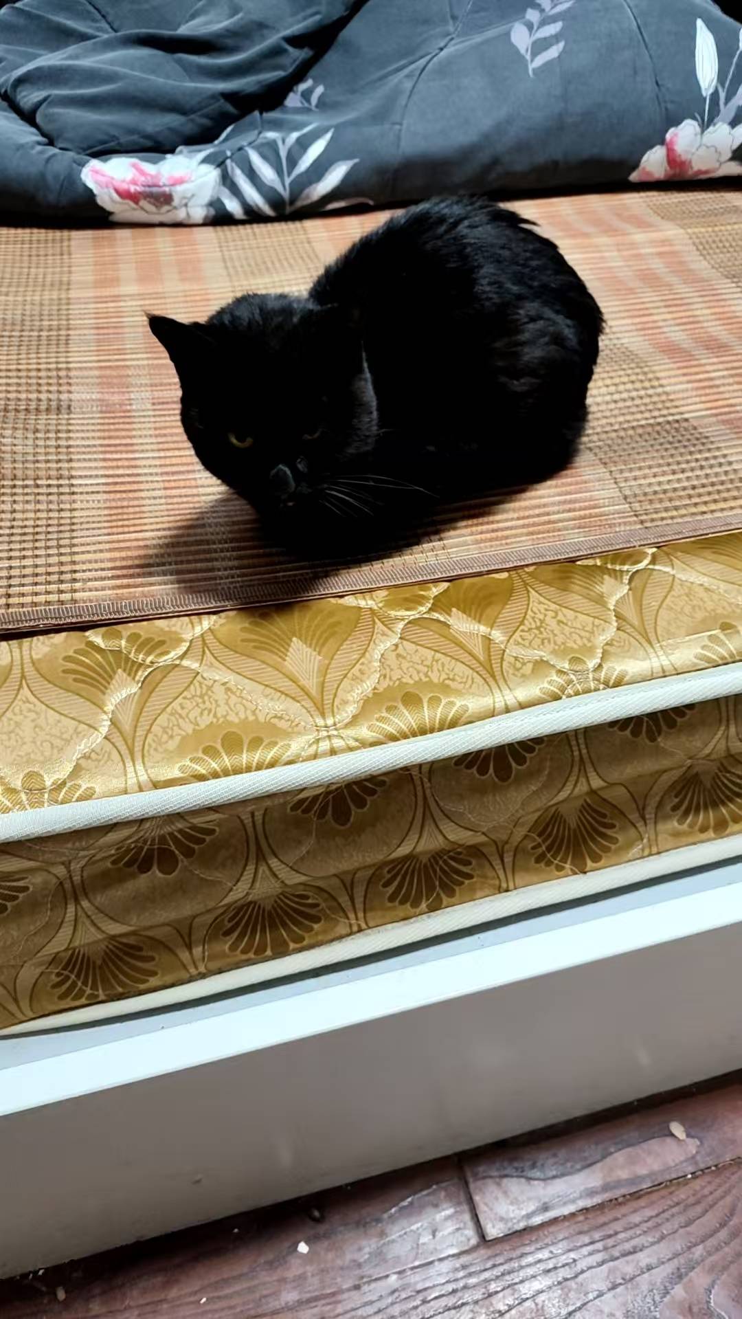 现在21度 你敢信

19 / 作者:好听的昵称啊 / 