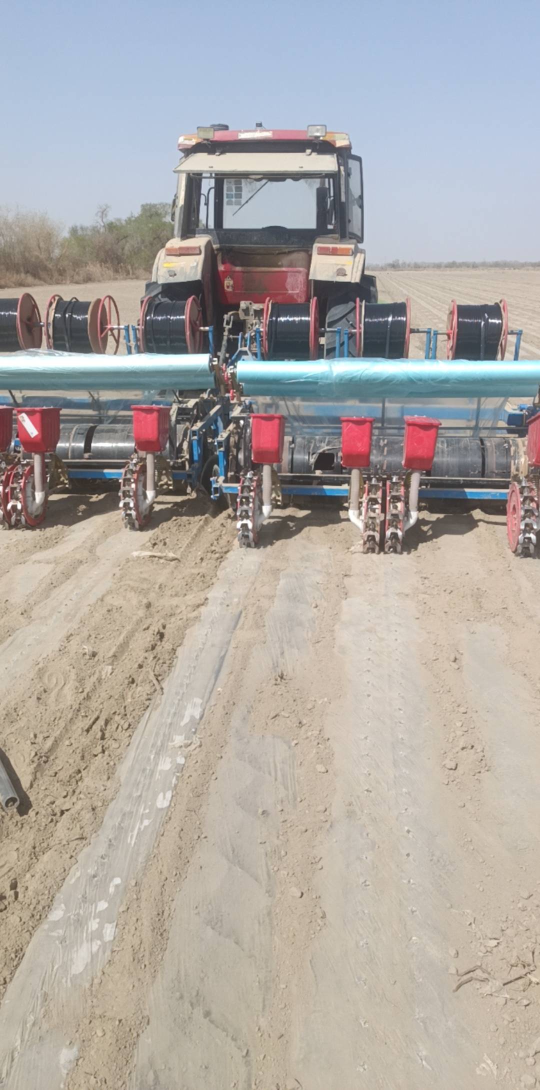 兄弟给介绍了个活。跟播种机。一天六七百块钱，能搞个一个半月左右。每天都是现结。这17 / 作者:z4328668 / 