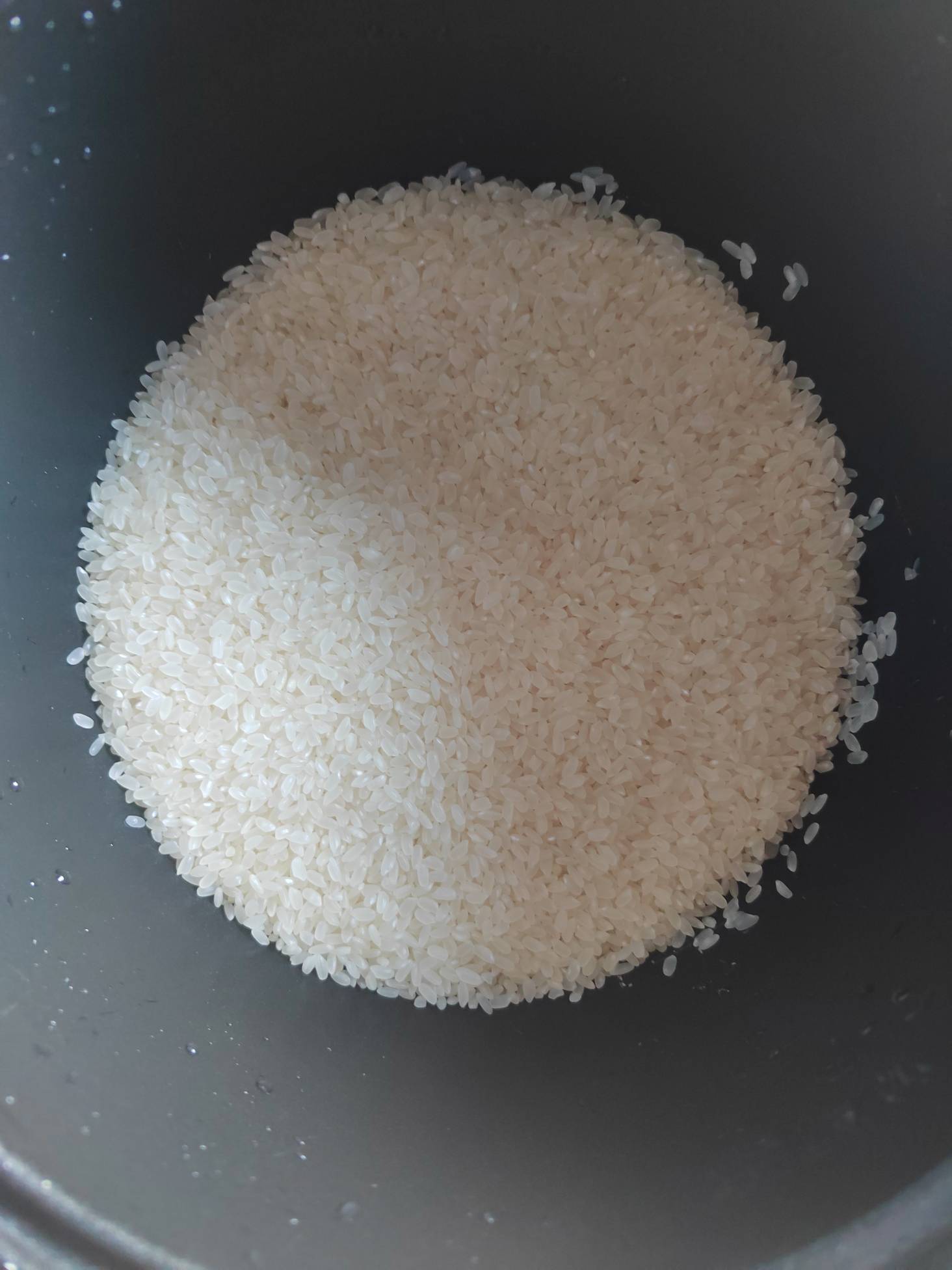 老哥们，我也先把饭煮了，发点毛买菜啊

56 / 作者:可8885 / 