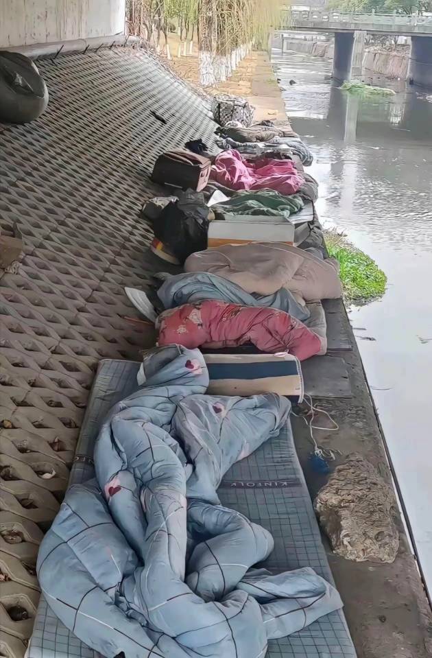 一个车架多少钱能搞到啊老哥们，想买个电瓶车跑外卖，兜里就600块了

58 / 作者:不么子 / 