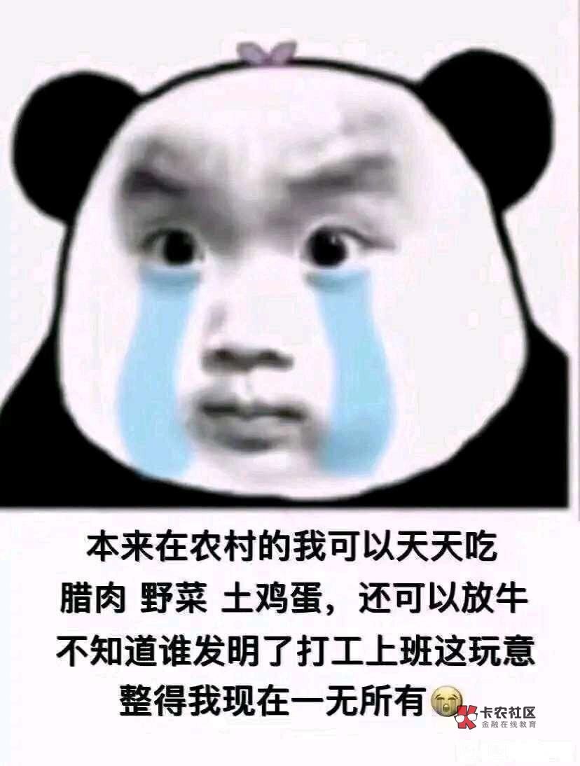 快点去找毛，50块几顿外卖就没了，你们要饿死我这卡农第一帅嘛？？？

25 / 作者:za94 / 