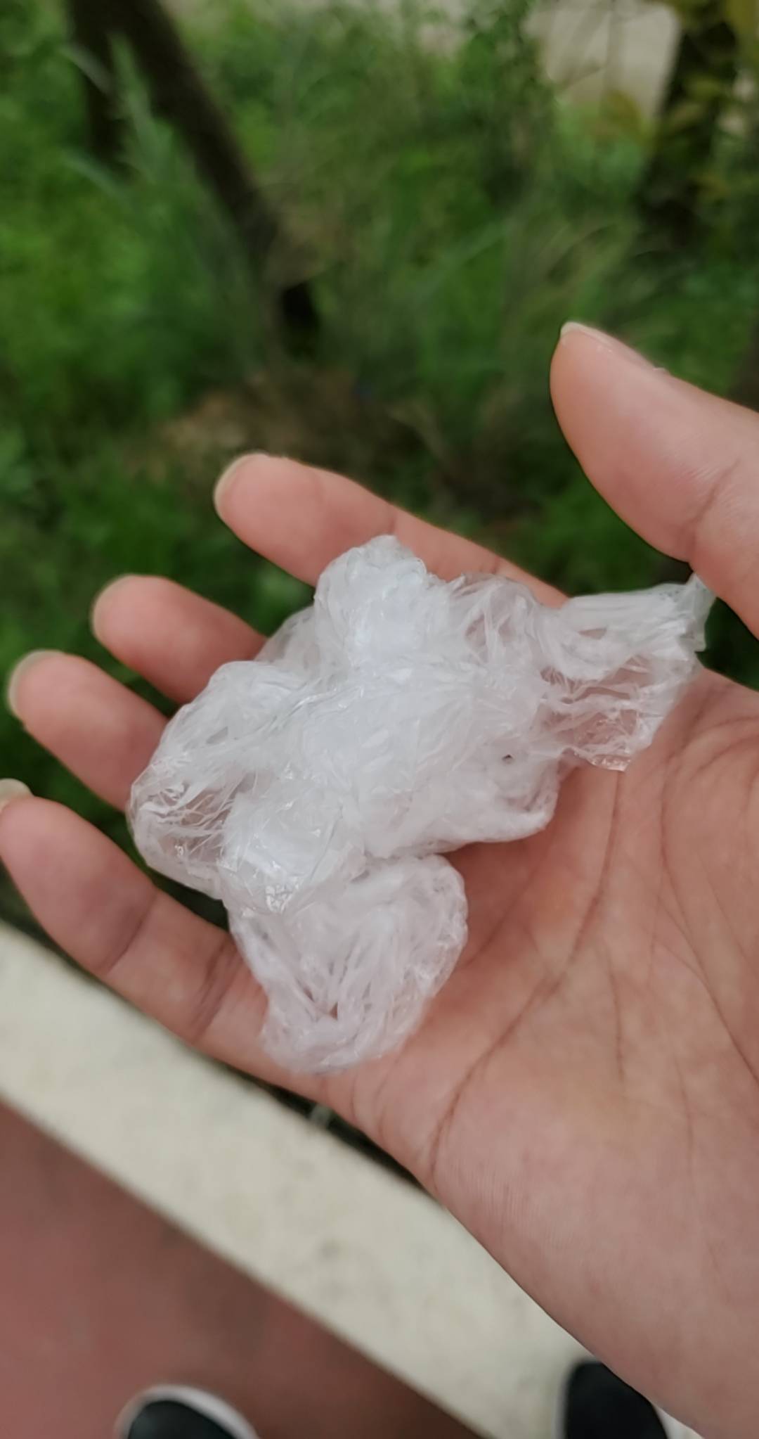 浙江也是吃上了老哥们，买了两个又白又圆的大馒头，吃的那叫一个香，美滋滋

67 / 作者:小谦谦 / 