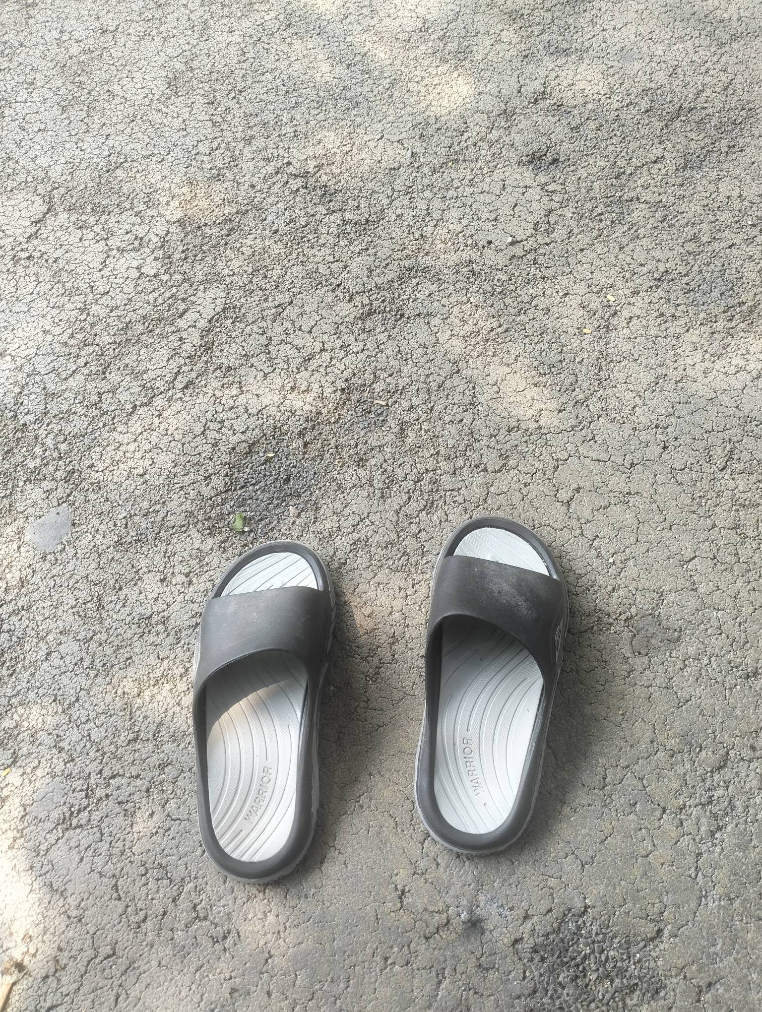 挂壁公园了，今天还没破蛋

97 / 作者:尛•牛•氓 / 