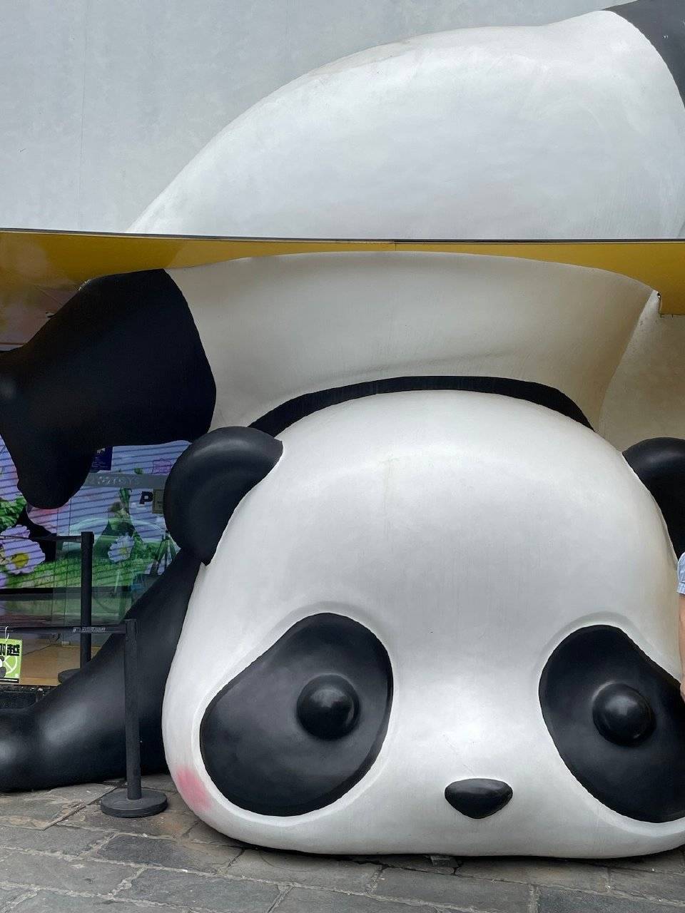 中信哪里有能开三类电子账户的渠道？



62 / 作者:卡皮巴拉爱睡觉 / 