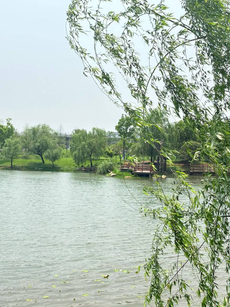 老哥们，这图片上是哪个地方？问千问也不知道


27 / 作者:寻花问柳不见君 / 