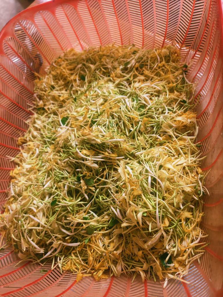 今天没有大毛吧，我山上刚摘金银花回来。应该有一百多毛了


38 / 作者:果然一道 / 