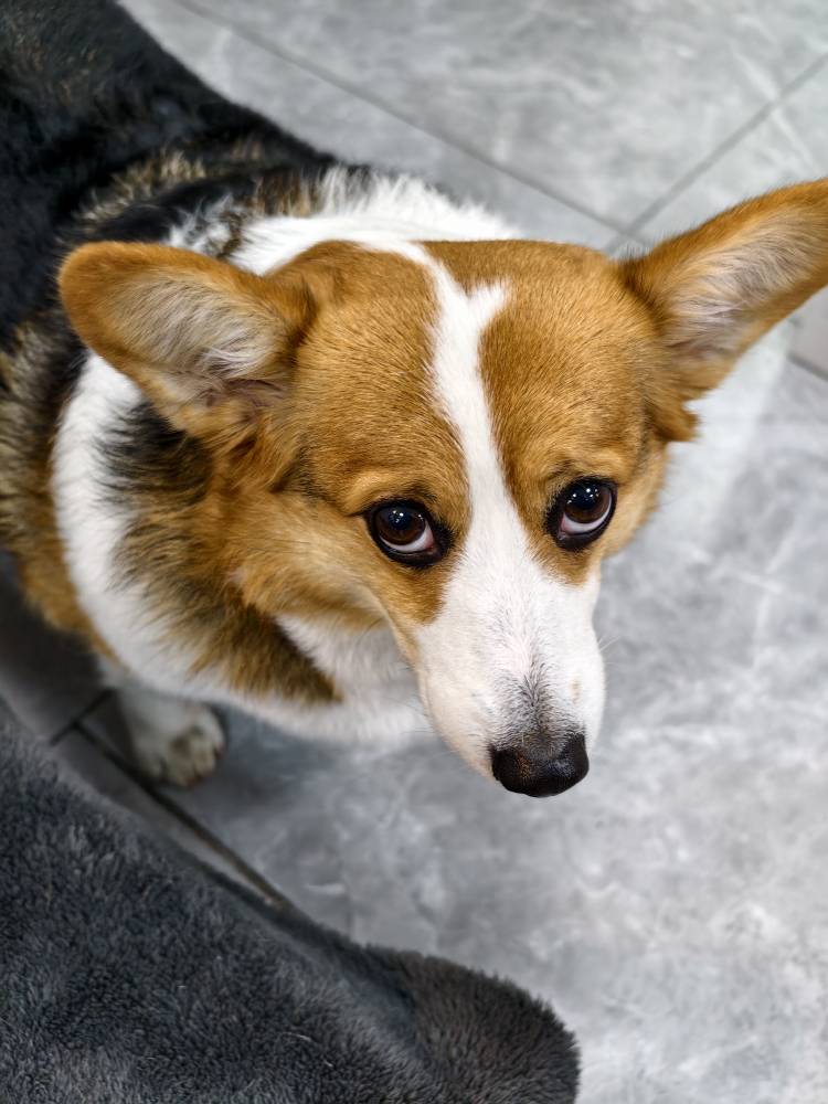 三角洲还有三四天新赛季，3x3单子老哥们多少钱接的？一单能有个700-800不，那些有老板98 / 作者:理理理66 / 