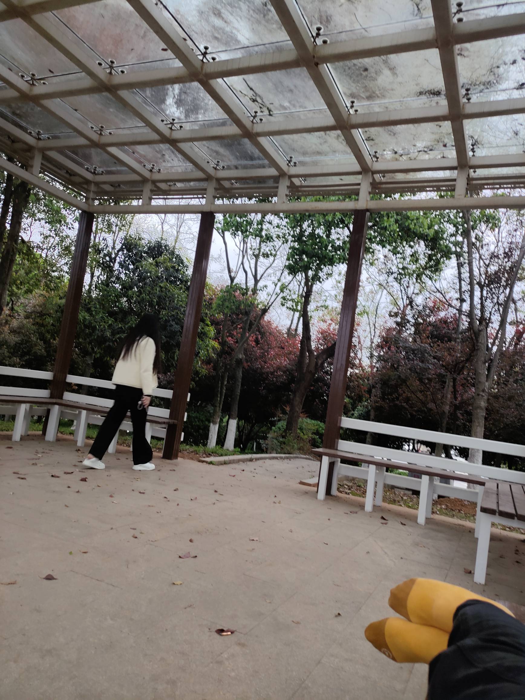 卡农起码有5%的老哥挂壁在公园他穿棉袄我穿拖鞋，这很合理吧？

21 / 作者:红菜苔 / 