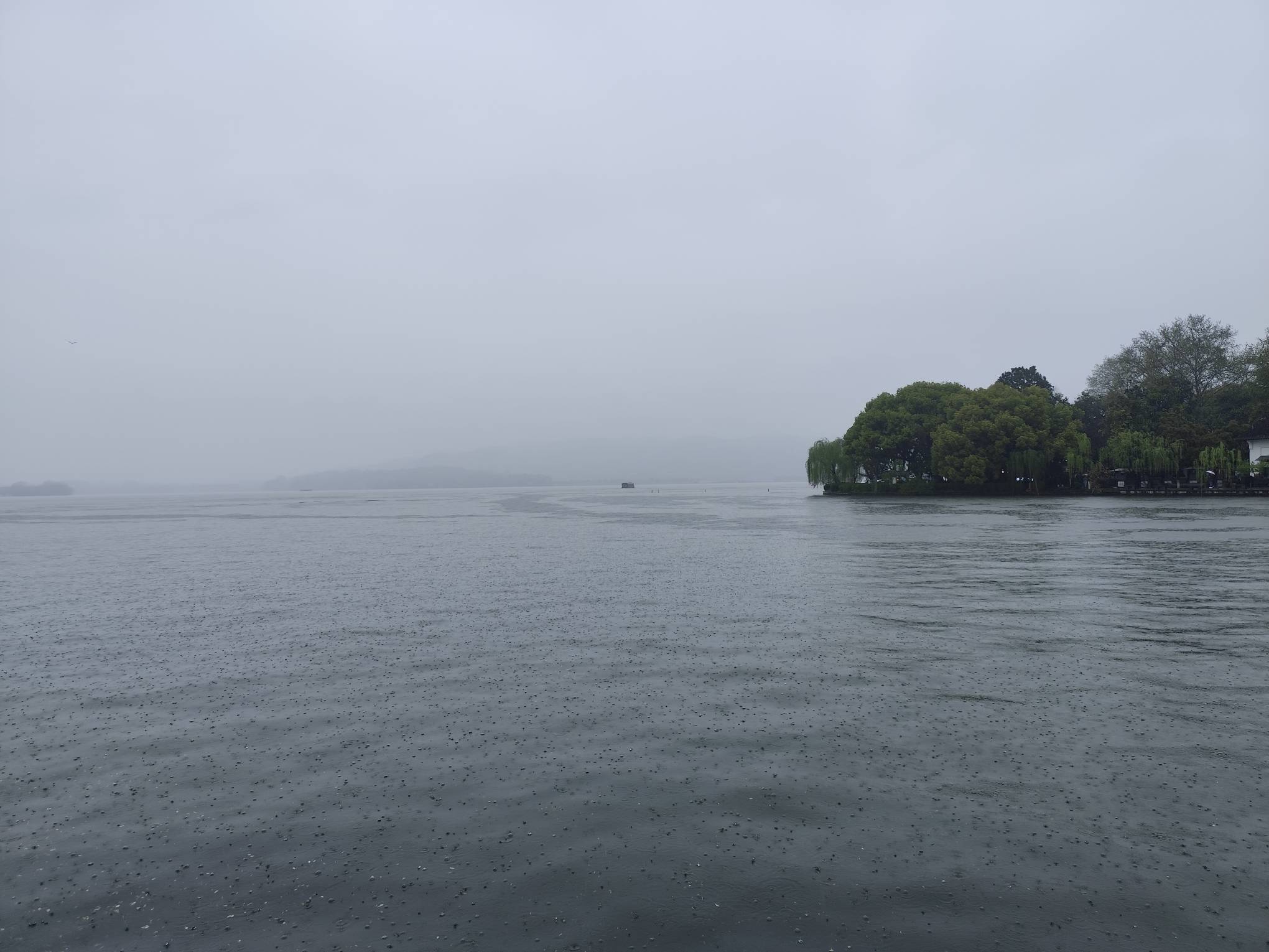 老哥们厦门公积金需要自己缴存还是等自动扣款就行？

54 / 作者:fuge31 / 