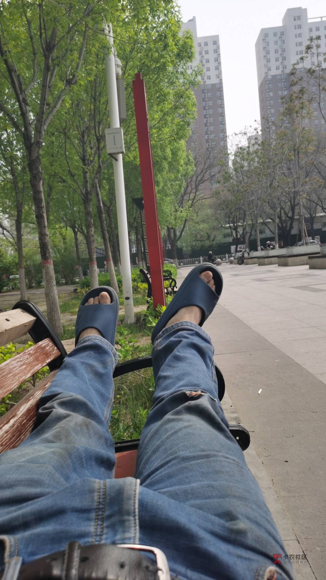 今天15号，1200块钱的老哥该发帖了

99 / 作者:朱铁胆 / 