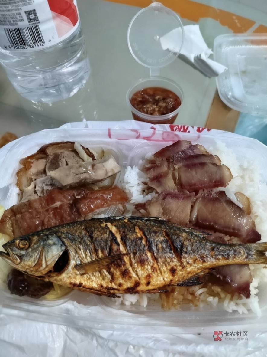 现在才吃饭，睡了一天了，兜里有米就根本不会看卡农

12 / 作者:DNNSKZ / 