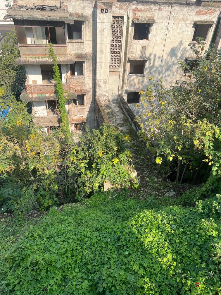 我出来了喔表哥

30 / 作者:枫霜降 / 