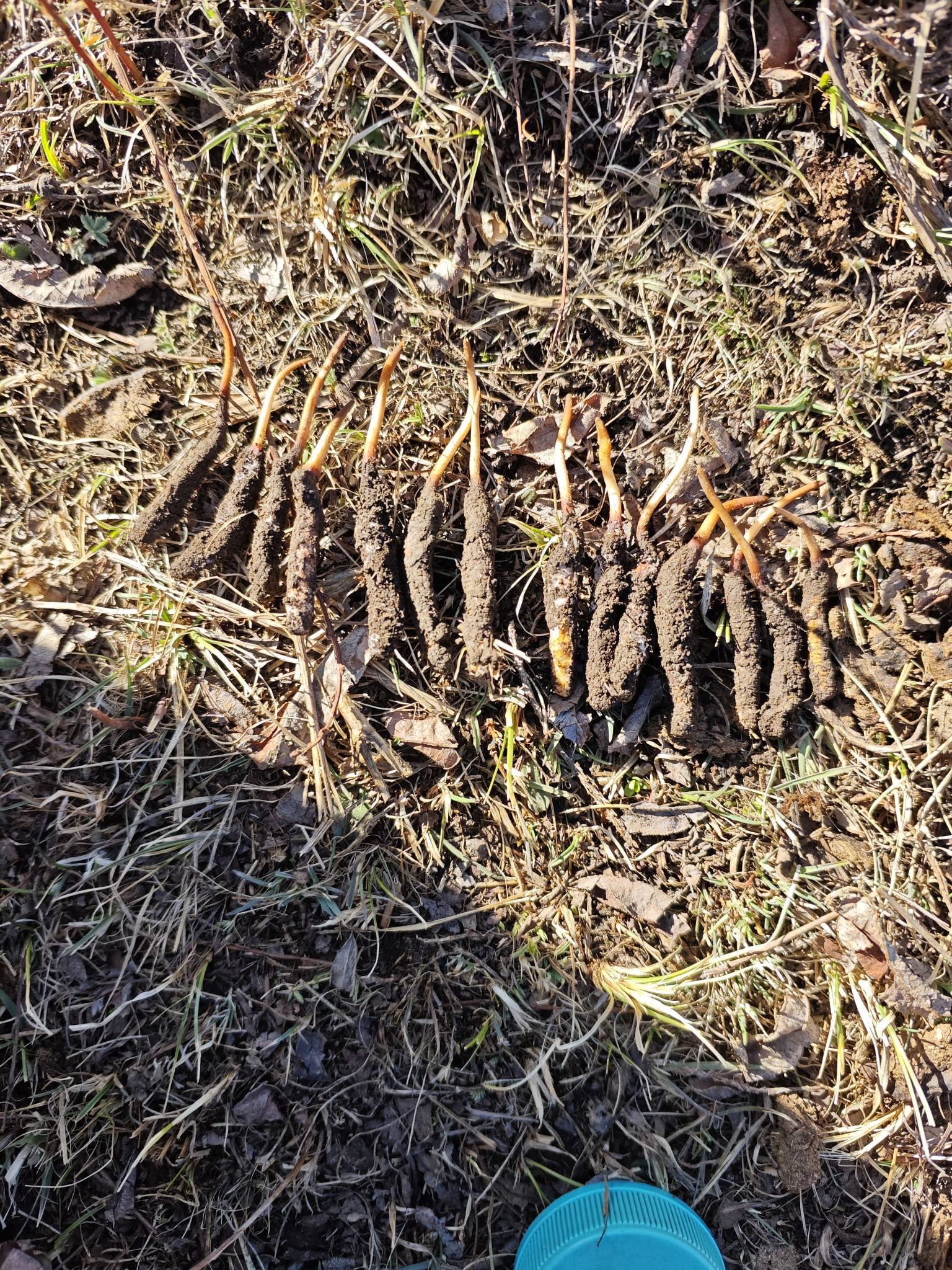 今日小毛，明天争取大毛。

31 / 作者:丷二霸丷 / 