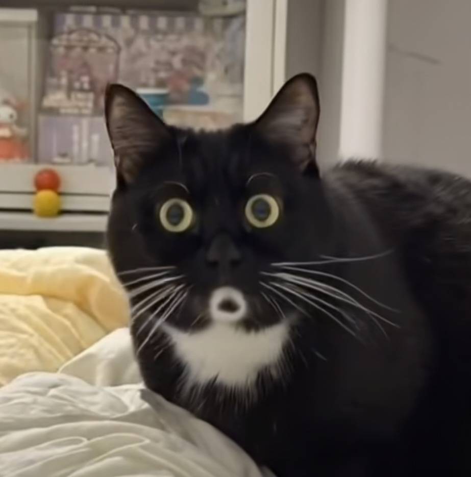 大佬们。中行飞了甘肃。上海。天津。哪里还有毛

73 / 作者:秋落无情人丶 / 