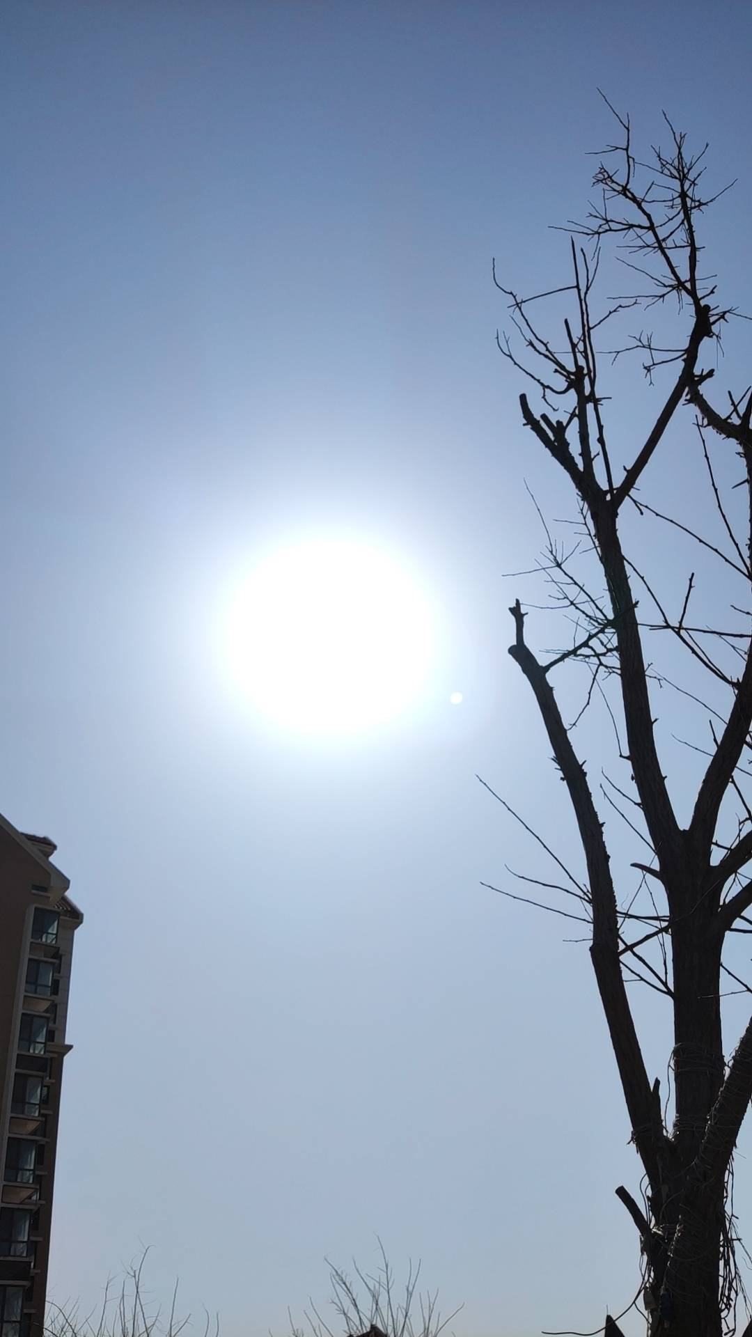 啥玩意让泛滥以后，让老哥们挂鱼上，恨不得二三块就出了。怪不得这群鱼贩子天天吃的光56 / 作者:春天的春 / 