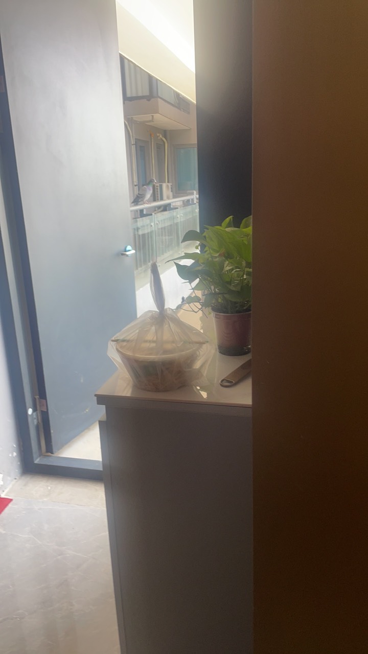 这个月都20号了，停在遂宁没动过，分币毛没一个……飞哪能有活动！

20 / 作者:半死不活的 / 