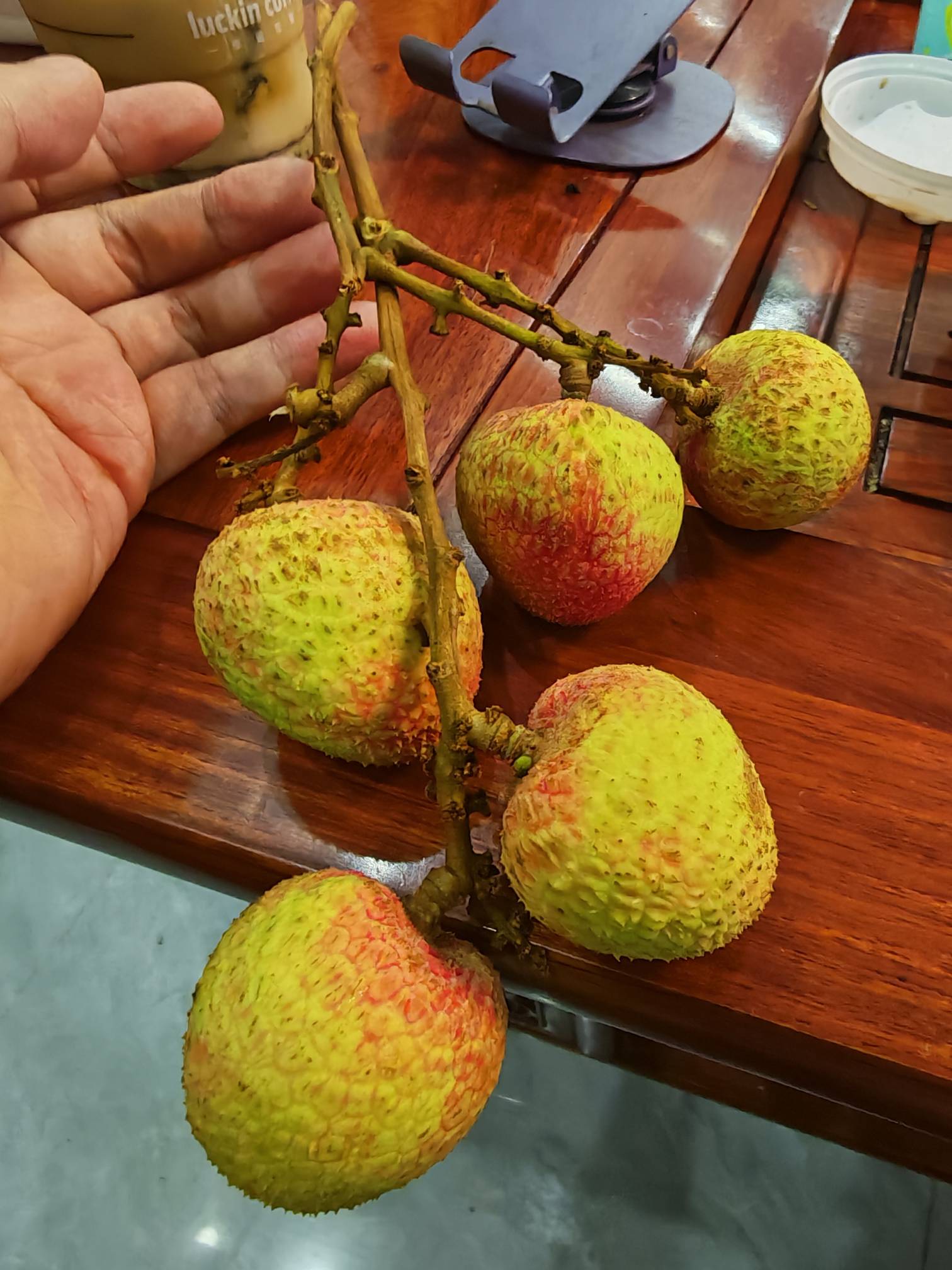 拜仁慕尼黑再次救我于水深火热之中

13 / 作者:普宁特邀演员达濠 / 