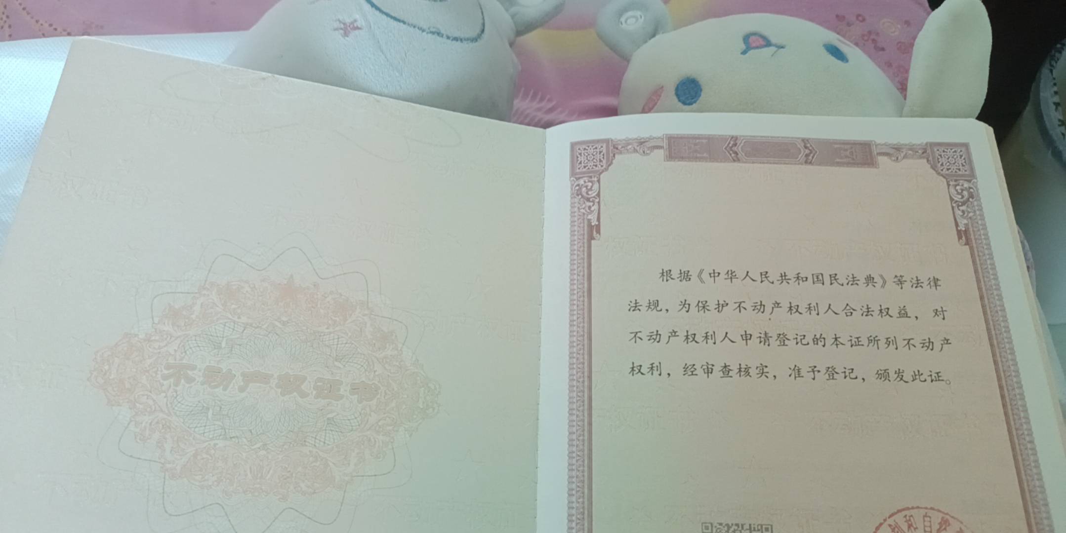 办了一个+急终于是拿到手了，现在又没钱喽，等5g恢复继续看广告攒钱

28 / 作者:顾小贝 / 