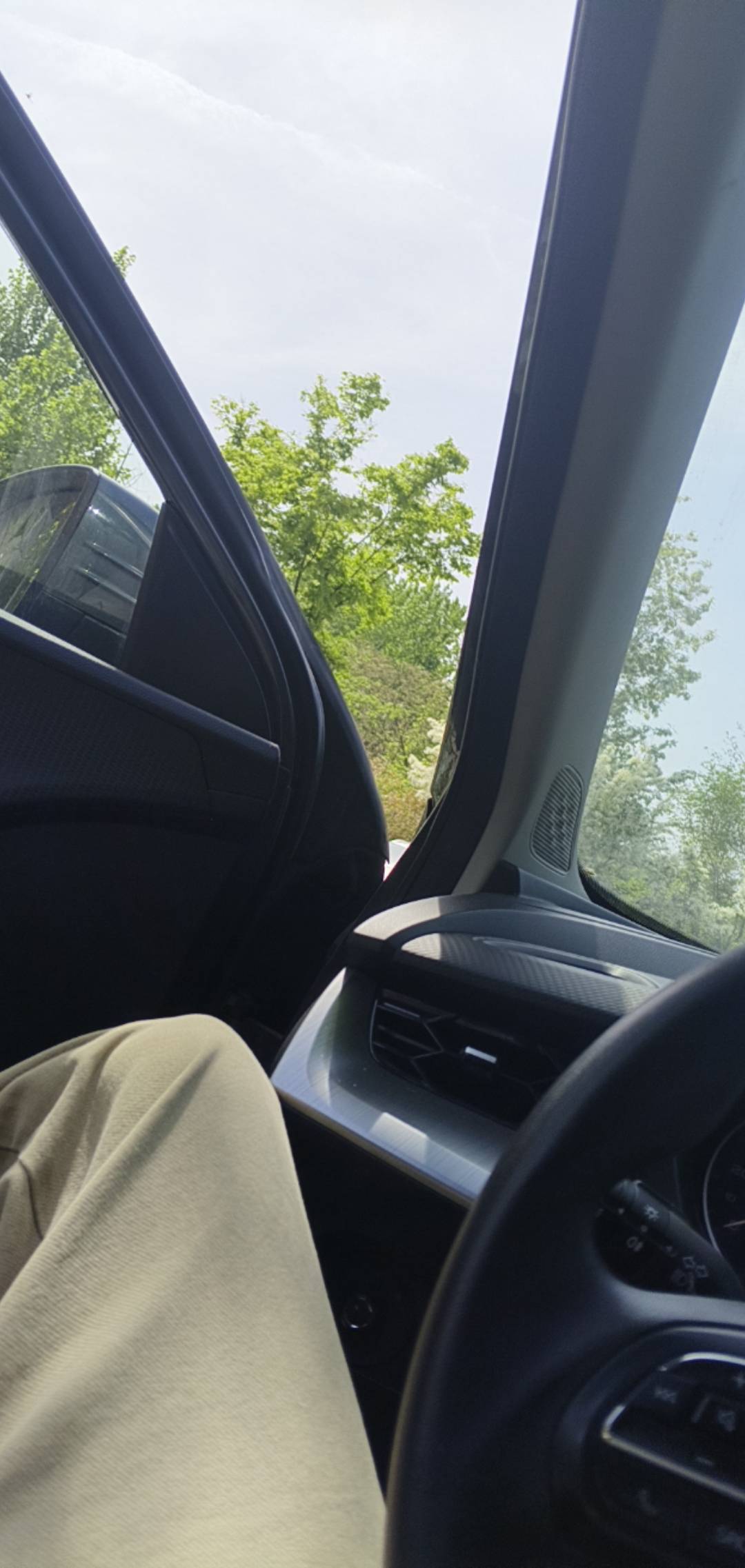 来点毛啊，公园躺下了

34 / 作者:东百仁没目地 / 