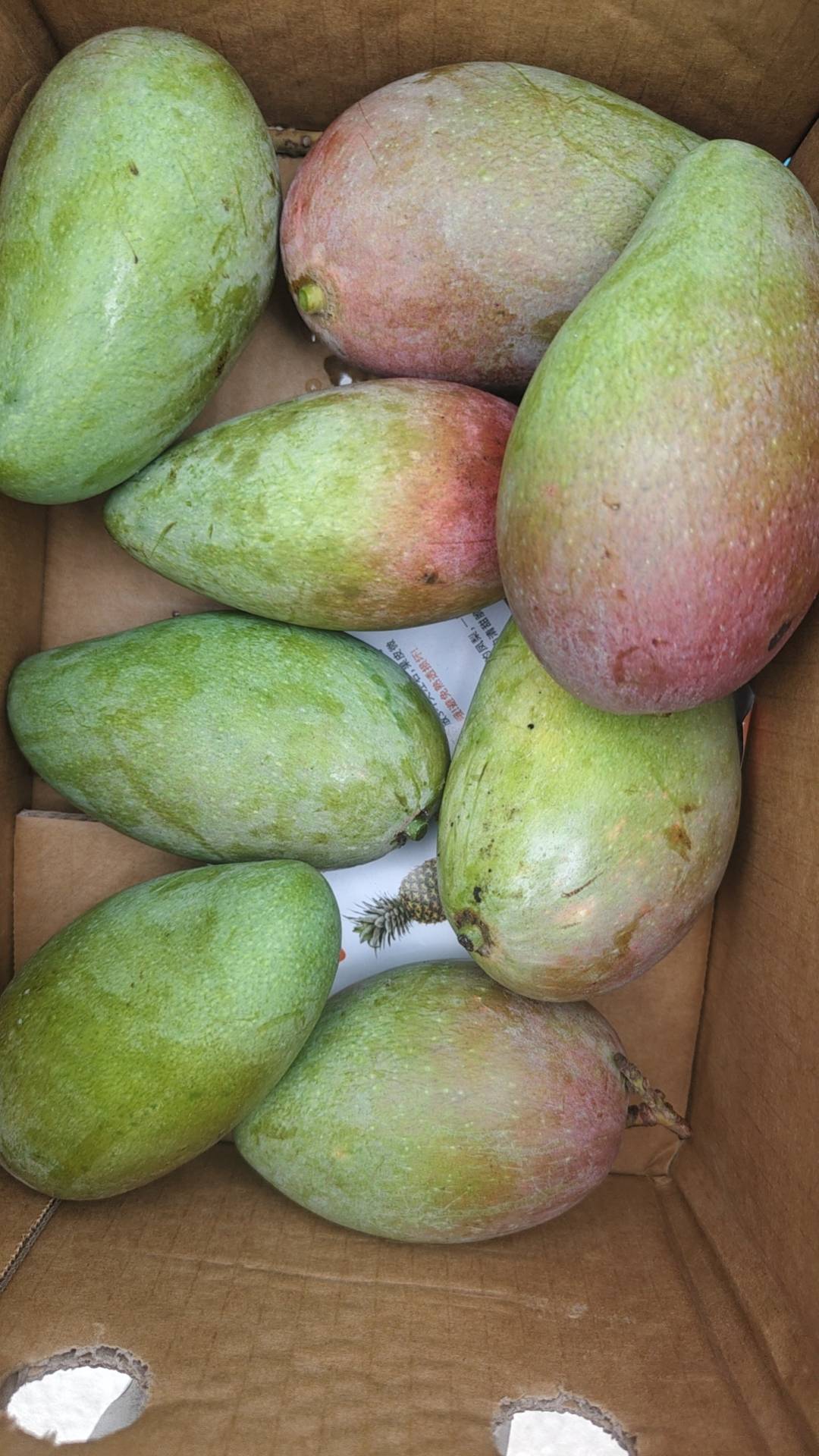 上海中行链接怎么打开没有了啊

39 / 作者:小屎 / 