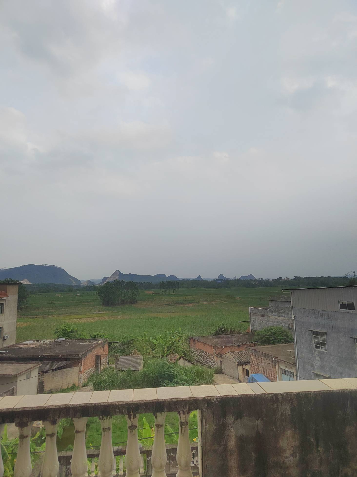 偶尔呆在农村也舒服，空气是真的好，晚上也安静，晚上九点就睡觉了，一觉睡到早上，以81 / 作者:年年悦意 / 