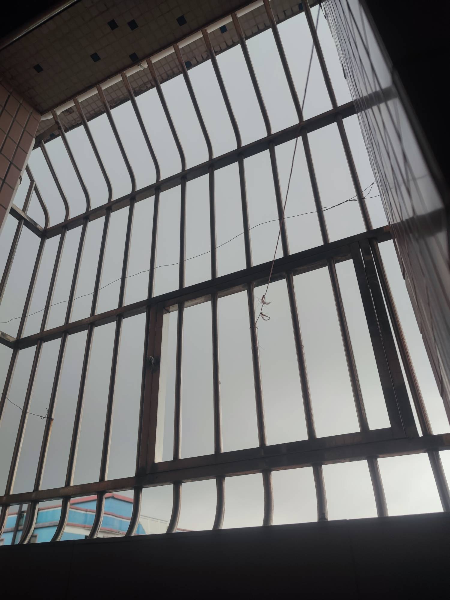 天黑乎乎的，新一轮强降雨即将来袭

28 / 作者:留学生 / 