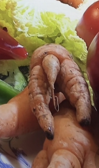 老哥们有几把毛？

85 / 作者:雷神y / 