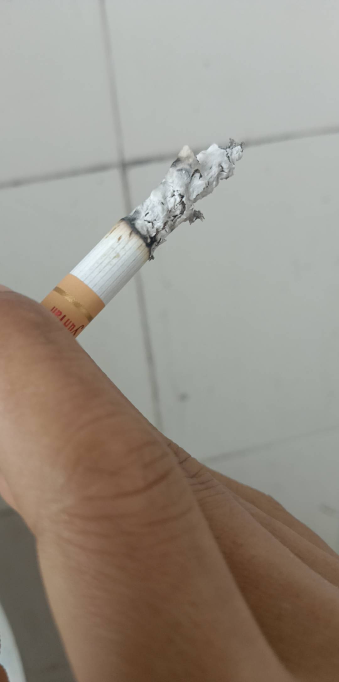 还以为没了，起床一看还有一根，惊喜坏了

95 / 作者:起名肥沃 / 