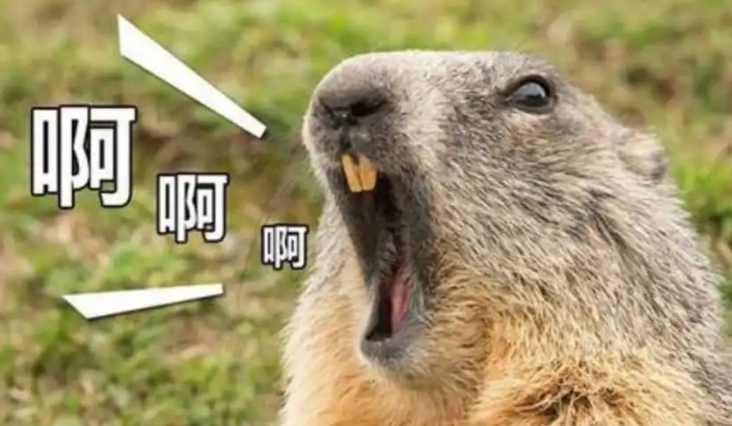 玉林那个200可以先提吗，等复活后那个100还能不能提？

10 / 作者:嗯呢喃 / 