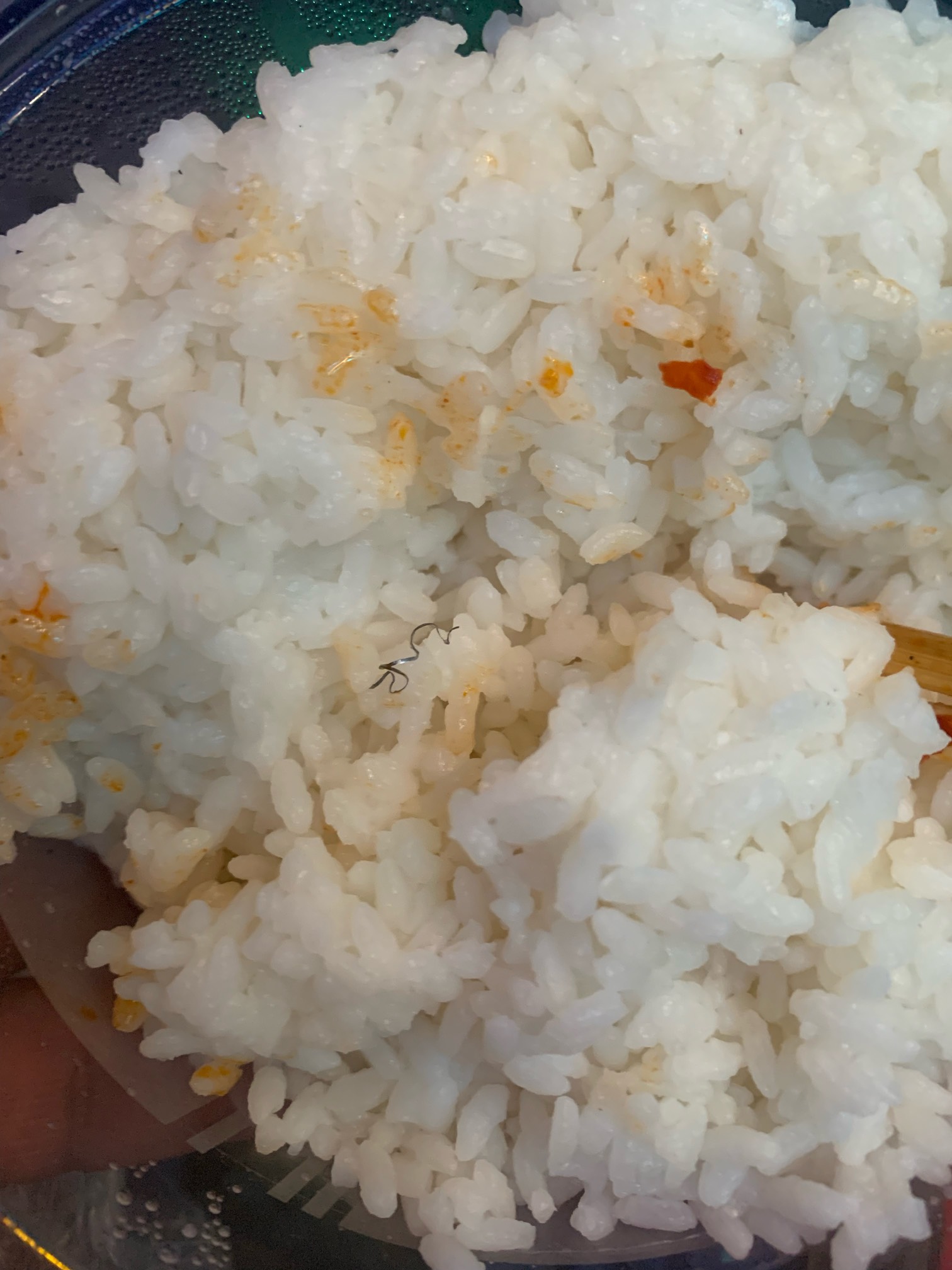 美团外卖吃到钢丝球美团不给赔偿商家也不给 只能投诉了


47 / 作者:陌上花开9698 / 