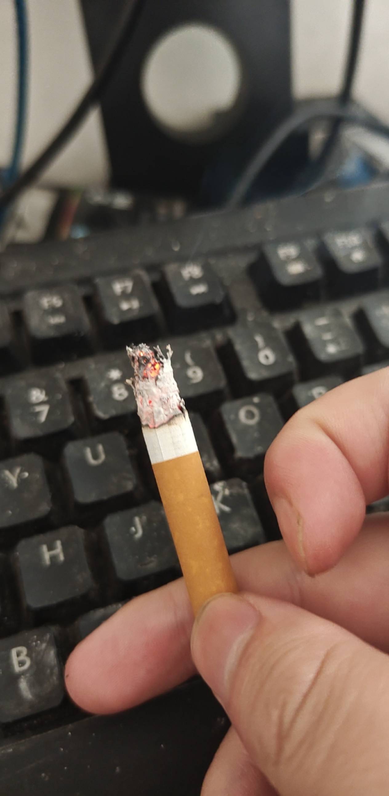 有毛吗 抽不起烟了
45 / 作者:turbo小宇宙 / 