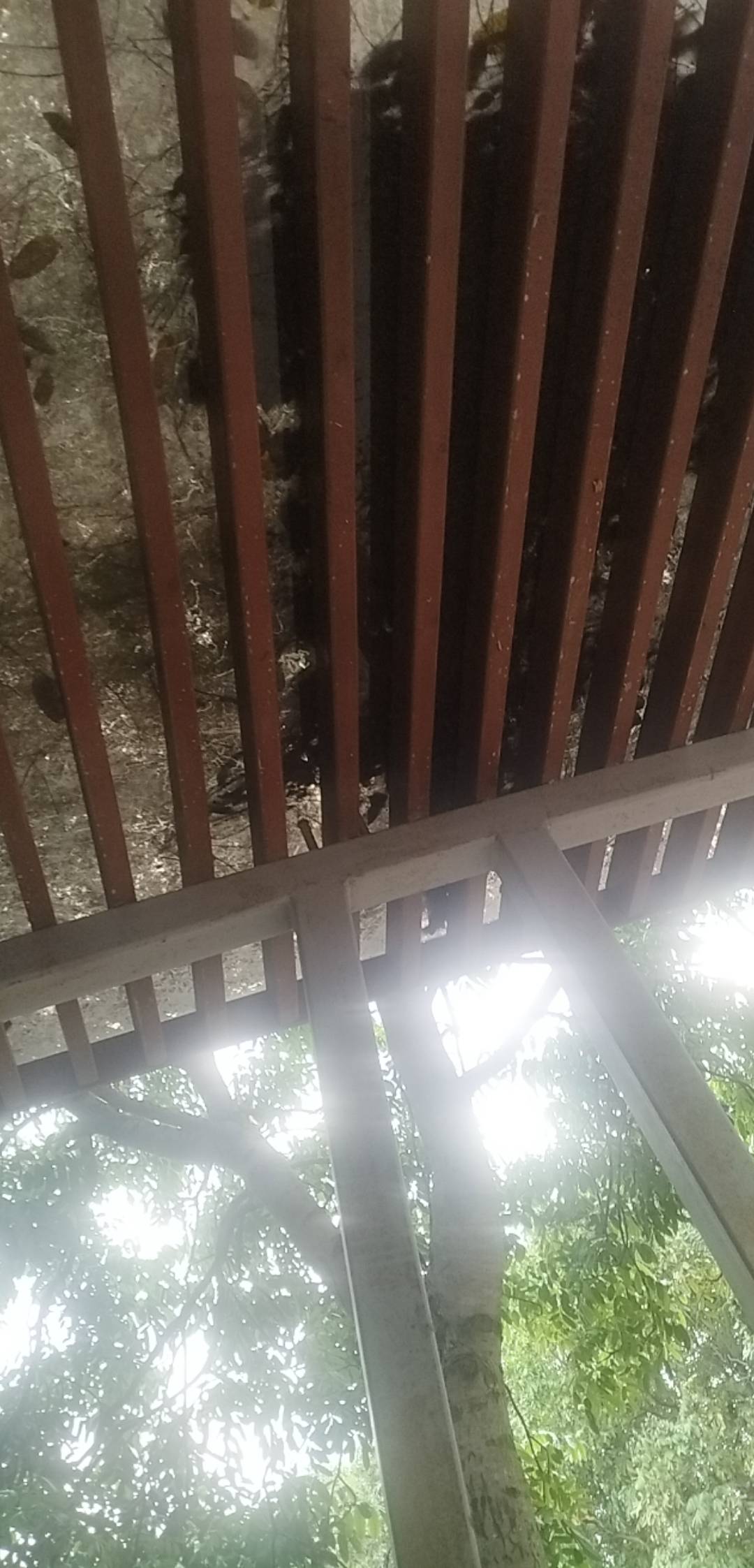 @初心ic @虾仁炒饭 又都在偷录什么，救救俺

32 / 作者:尛•牛•蛮 / 