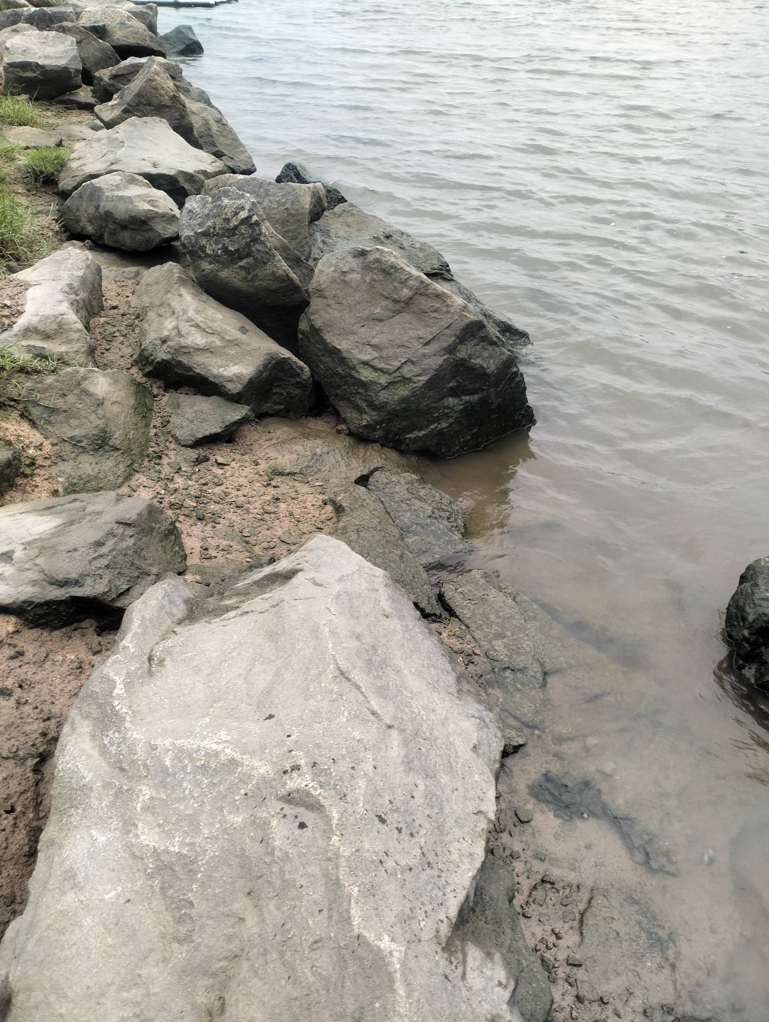 录毛录不到，老哥们，再见了

73 / 作者:尛•牛•氓 / 